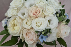 1_598790550_1943073336593221_8941301236503665803_n