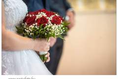 FB_IMG_1696137408583