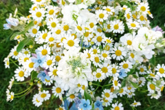 Screenshot_20240114_181832_Messenger