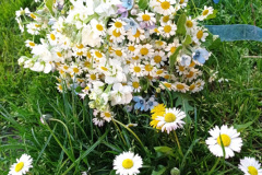 Screenshot_20240114_181846_Messenger