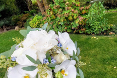 original_187b497e-0300-4d14-a682-cf603e524a8b_Screenshot_20250830_182025_Photos