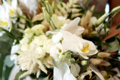 received_1334925040659782