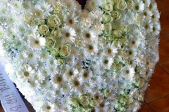 160113949_5213847005323308_675280093042140746_o