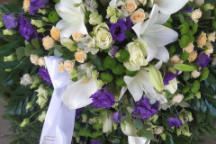 IMG_20230324_093932