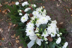 Screenshot_20251103_064329_Messenger